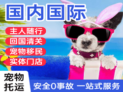 河东航空快递国际宠物托运 【国
